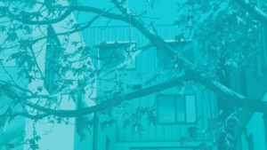 a home-like environment