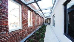 plants at Emerald Hill