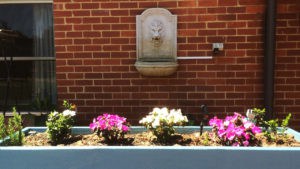 flowers at south port nursing home